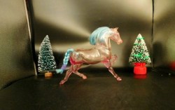 shera horse blue